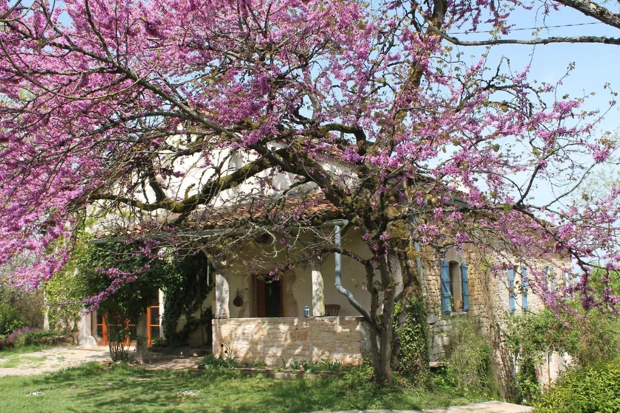 Le Refuge Aux Etoiles Villa Saint-Antonin-Noble-Val